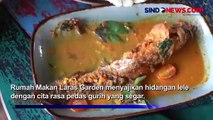 Sensasi Pedas Segar Kuliner Lele Mangut Khas Cilegon, Bikin Lidah Bergoyang
