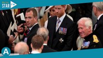 Le prince Harry en guerre avec les Windsor : ces autres familles royales en crise