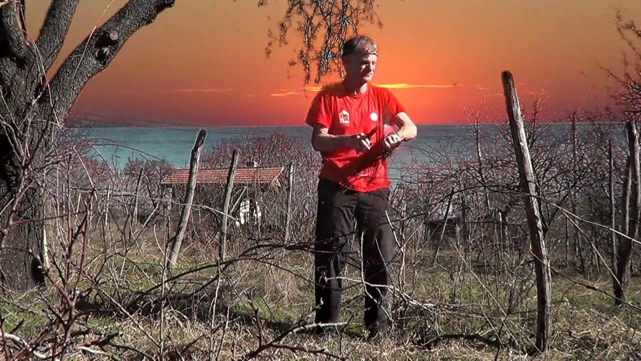 Зарезан,море и т.н.