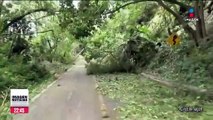Huracán “Lidia” causa destrozos en carretera de Jalisco