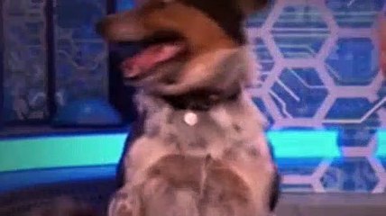 Lab Rats Season 4 Episode 4 Bionic Dog