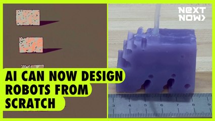 AI can now build robots from scratch | NEXT NOW