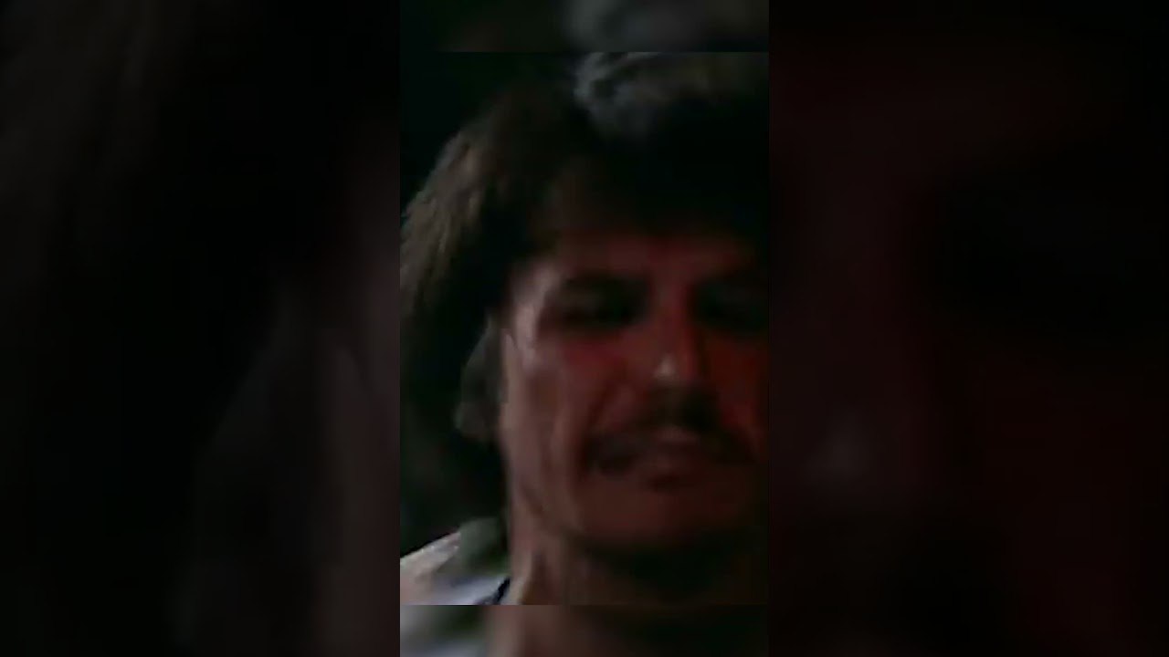 Büyük Kavga! | Beyaz Gelincik #shorts