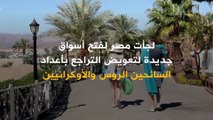 بالرغم من الضغوط الاقتصادية.. السياحة في مصر تسجل إيرادات قياسية بنحو 13.6 مليار دولار!