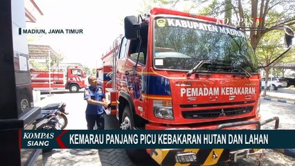 Download Video: Imbas Kemarau Panjang, 79 Peristiwa Kebakaran Terjadi Sejak Januari-Oktober 2023