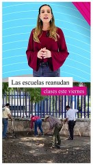 UDG reanudará clases este viernes tras el paso del huracán "Lidia"  #TuNotiReel