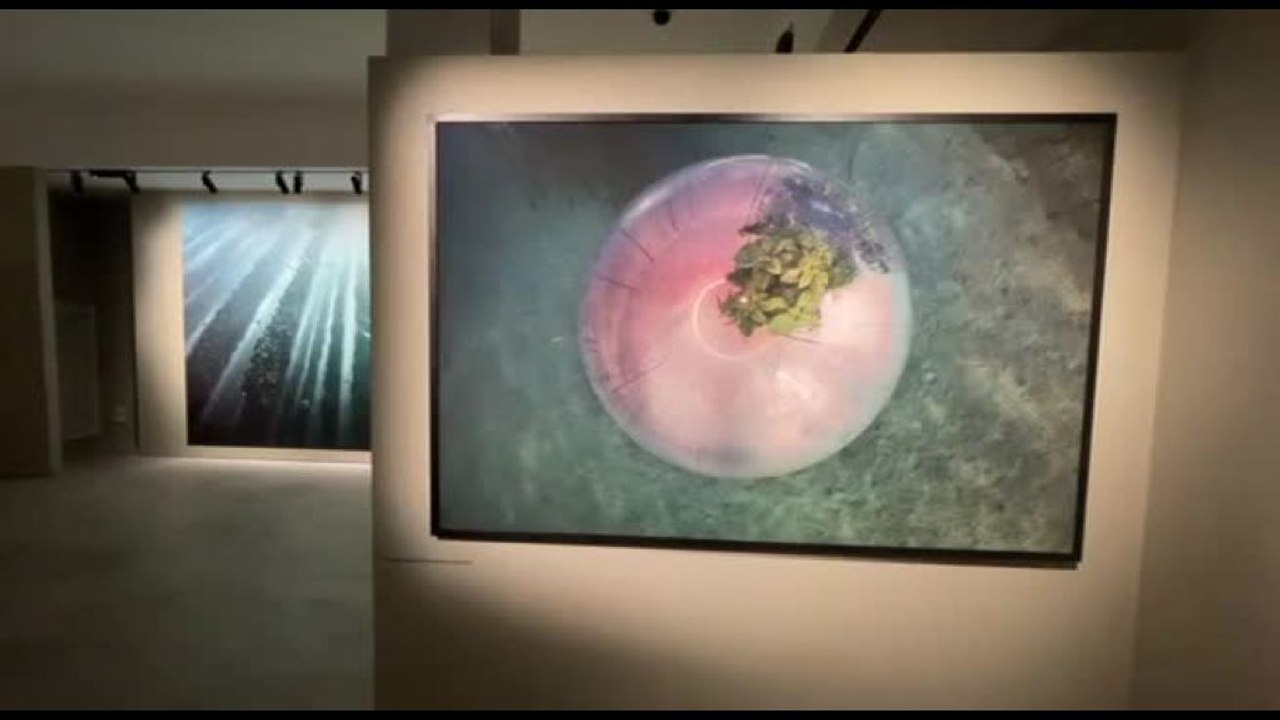 Fotografie per raccontare soluzioni per il nost...