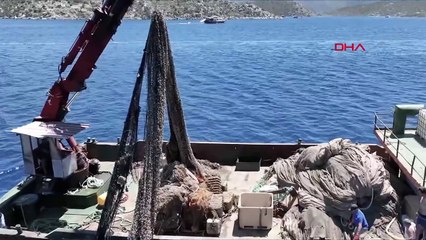 La mort de 2 millions 750 mille poissons a été évitée grâce aux filets fantômes nettoyés