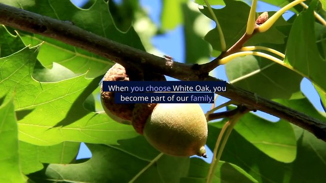 White Oak Insurance Services Investing into relationships, not just policies