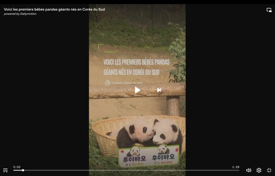 Voici les premiers bébés pandas géants nés en Corée du Sud