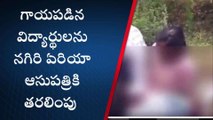 తిరుపతి జిల్లా: రోడ్డు ప్రమాదం... కాలేజీకి వెళ్తుంటే...!