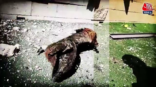 What will be Israel's next step against Palestine?