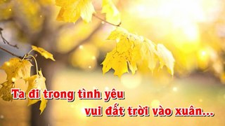 [Karaoke Tone Nữ - Cẩm Ly] Phố Xuân (bài hát gốc)