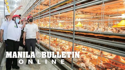 Small producers, backyard growers can thrive alongside megafarms — Marcos