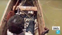 In Kenya, rising waters increase crocodile population, threatening life, limbs and livelihoods