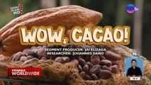 Bunga, katas at dahon ng cacao, saan puwedeng magamit? | Dapat Alam Mo!