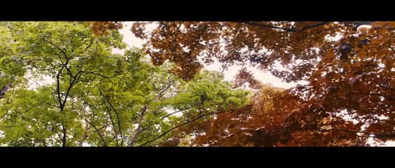 La vie d'Adèle : chapitres 1 & 2