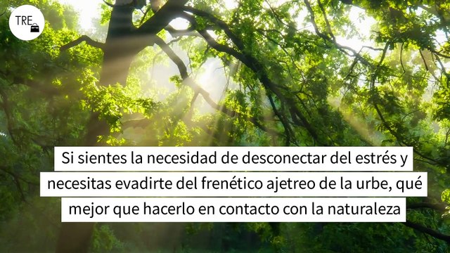 La Garganta de las Lanchas es el jardín salvaje que encontraremos cerca de Toledo y que nos ayudará a desconectar de todo (incluso de los ex)