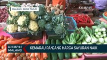 Dampak Kemarau Panjang, Harga Sayuran di Kota Malang Naik