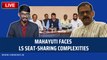 MahaYuti faces LS seat-sharing complexities | Ajit Pawar | Eknath Shinde | Devendra Fadnavis