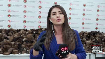 10 bin 300 adet kaçak tilki kuyruğu ele geçirildi