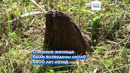 Учёные подтвердили возраст старейшего свайного поселения в Европе