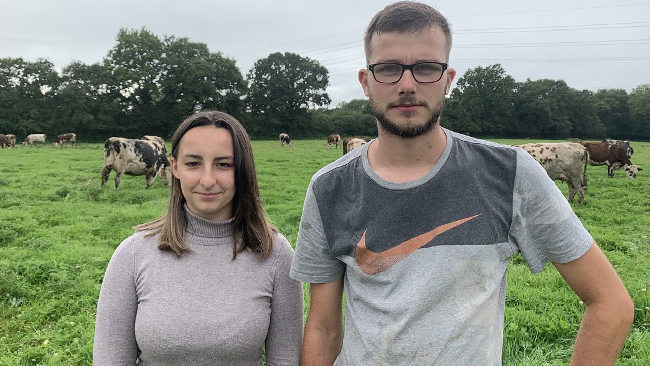 Installés depuis un an en bovins lait (Manche), Brian et Manon alertent sur les reprises « low cost »