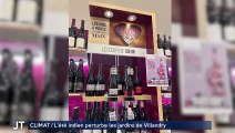 FOIRES AUX VINS / Les bouteilles d'un viticulteur vendues contre son gré