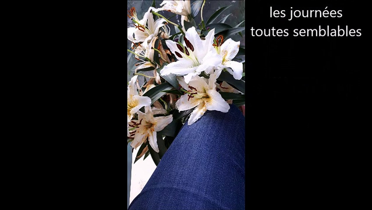 REIMS