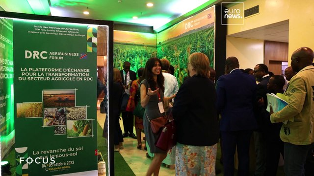 Освоить неосвоенное: Киншаса берет курс на рост агросектора, чтобы накормить людей