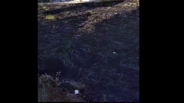 Andria: incendio di sterpaglie in zona via Corato