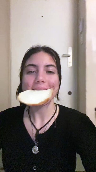 Un chien vole une bouchée de pain