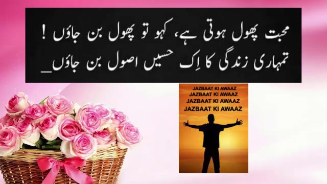 Mohabbat Phool Hoti Hai | #poetry #shorts #short #viral #trending #youtube #reels #tiktok #love