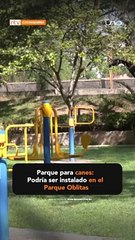 Un parque para canes en Cochabamba