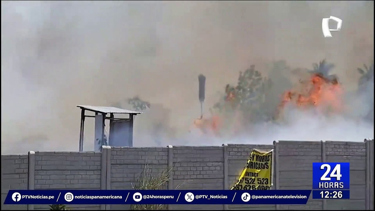Tarapoto: llamas de incendio forestal llegan cerca de grifo