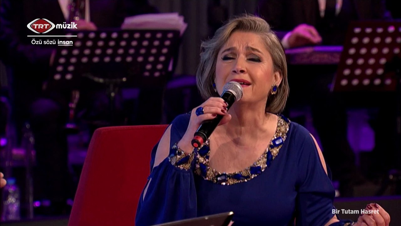 Ayşe Taş / Bir yaz yağmuru gibi geçiverdi aşkımız