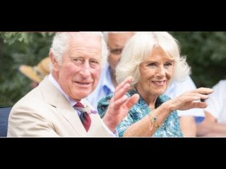 Il principe Carlo affronta una lite per i soldi di Bin Laden tra le richieste di un'indagine di bene