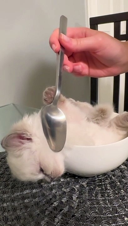 Fluffy Soup