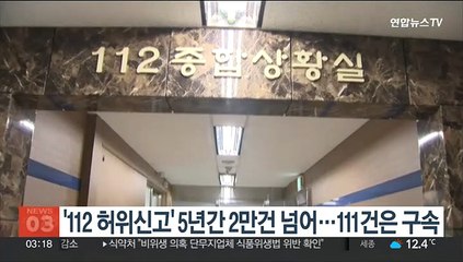 '112 허위신고' 5년간 2만건 넘어…111건은 구속