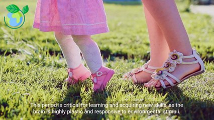 - The Dynamic Brain_ Understanding Development and Memory