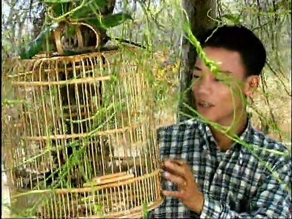 Ta on con gai - Che Phong
