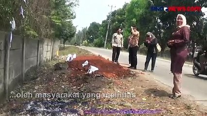 Download Video: Geger Kemunculan 5 Kuburan di Jalanan Purwakarta Begini Penampakannya