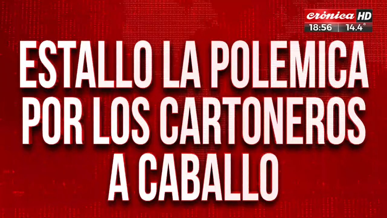 ¿Tortura animal o rebusque para poder comer?