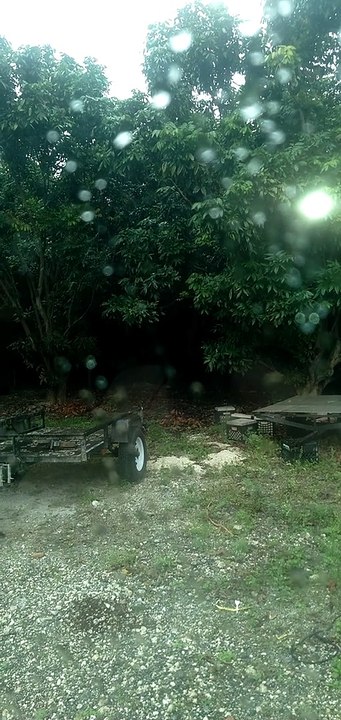 Raining a Homestead, FL 2021