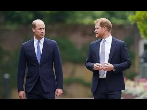 Il principe William invidia il principe Harry mentre i fratelli si affrettano a ricucire la relazi