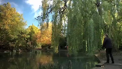 Treacle Jr. Bande-annonce (EN)