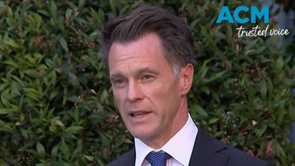 'There's no place for racial vilification in our multicultural community' says Chris Minns