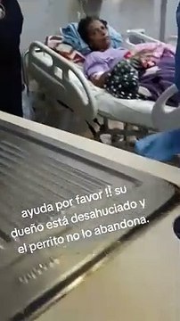 Estarás en paz : Hombre desahuciado pide que adopten a su perrito 'Firulais'