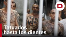 La megacárcel salvadoreña que alberga a 40.000 pandilleros condenados