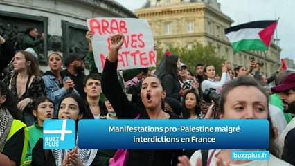 Manifestations pro-Palestine malgré interdictions en France